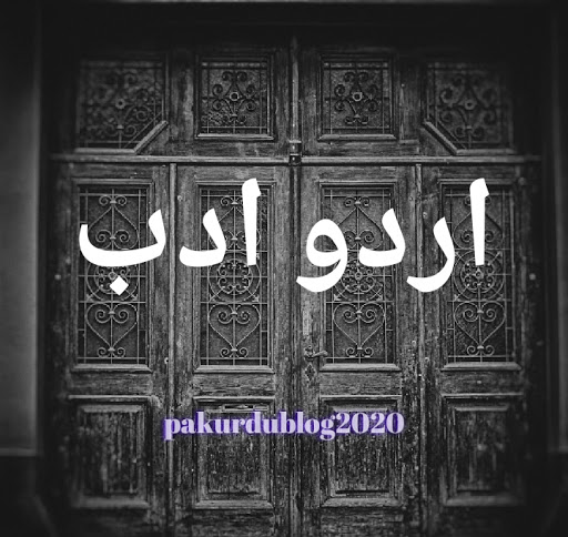 اردو ادب، اردو آرٹیکلز،افسانے،نوجوان شعراء کا تعارف و کلام،اردو نوٹس،اردو لیکچرر ٹیسٹ  سوالات،حکایات
