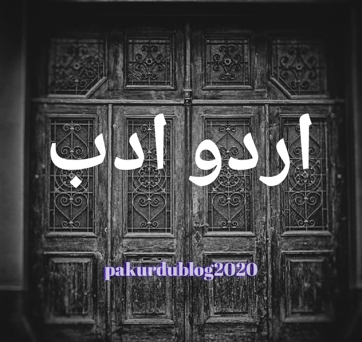 اردو ادب، اردو آرٹیکلز،افسانے،نوجوان شعراء کا تعارف و کلام،اردو نوٹس،اردو لیکچرر ٹیسٹ  سوالات،حکایات